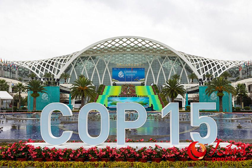 COP15第一阶段会议