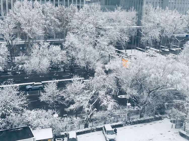 图1 暴雪天气