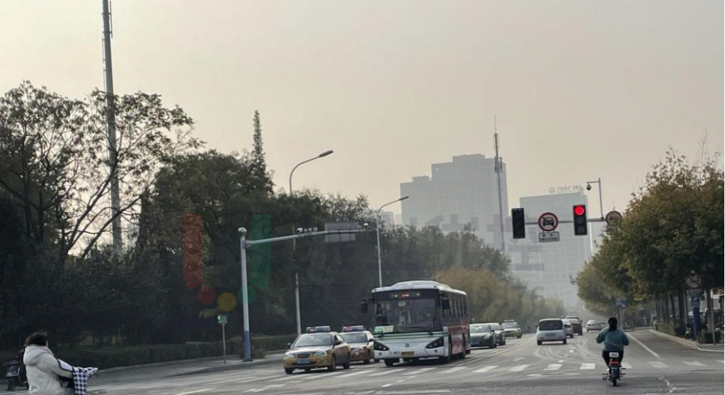 图11 路口南进口运行情况(优化后)